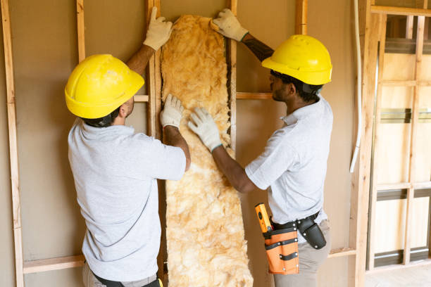 Best Insulation Removal  in Midlothian, TX
