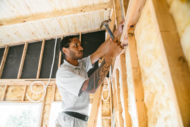 Best Cellulose Insulation  in Midlothian, TX